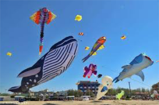 "Un mare di aquiloni” torna al Lido di Fano il 1° e 2 maggio